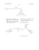 Compounds With Matrix-Metalloproteinase Inhibitory Activity and Imaging     Agents Thereof diagram and image