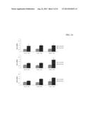 SCAFFOLD SYSTEM FOR TISSUE REPAIR diagram and image