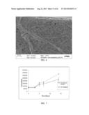 SCAFFOLD SYSTEM FOR TISSUE REPAIR diagram and image