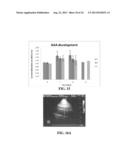 SCAFFOLD SYSTEM FOR TISSUE REPAIR diagram and image