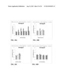 SCAFFOLD SYSTEM FOR TISSUE REPAIR diagram and image