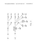 NUCLEOTIDE SEQUENCES ENCODING RAMOSA3 AND SISTER OF RAMOSA3 AND METHODS OF     USE FOR SAME diagram and image