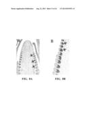 NUCLEOTIDE SEQUENCES ENCODING RAMOSA3 AND SISTER OF RAMOSA3 AND METHODS OF     USE FOR SAME diagram and image