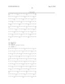 NUCLEOTIDE SEQUENCES ENCODING RAMOSA3 AND SISTER OF RAMOSA3 AND METHODS OF     USE FOR SAME diagram and image