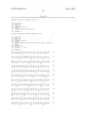 NUCLEOTIDE SEQUENCES ENCODING RAMOSA3 AND SISTER OF RAMOSA3 AND METHODS OF     USE FOR SAME diagram and image