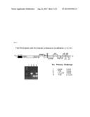 Viral Based Transient-Expression Vector System That Allows Multiple     Applications diagram and image