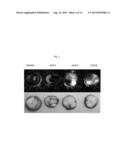 REDUCTION OF POST-HARVEST PHYSIOLOGICAL DETERIORATION diagram and image