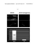 REDUCTION OF POST-HARVEST PHYSIOLOGICAL DETERIORATION diagram and image