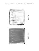 ISOLATED POLYPEPTIDES, POLYNUCLEOTIDES USEFUL FOR MODIFYING WATER USER     EFFICIENCY, FERTILIZER USE EFFICIENCY, BIOTIC/ABIOTIC STRESS TOLERANCE,     YIELD AND BIOMASS IN PLANTS diagram and image