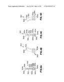 SNAP HOOK diagram and image