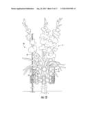 APPARATUSES, KITS, SYSTEMS, AND METHODS FOR PROTECTING AND/OR SUPPORTING A     PLANT DURING A GROWTH CYCLE OF THE PLANT diagram and image