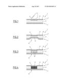 VEHICLE COVERING HAVING A FRAME, TRIM AND A DECORATIVE ELEMENT diagram and image