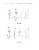 USER INTERACTIVE LIVING ORGANISMS diagram and image