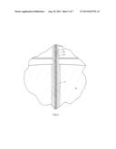 OPTICAL PROBE FOR VISION MEASUREMENTS diagram and image