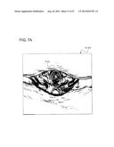 MEDICAL IMAGE PROCESSING APPARATUS diagram and image