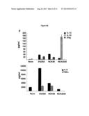 RECOMBINANT LACTOBACILLUS WITH DECREASED LIPOTEICHOIC ACID TO REDUCE     INFLAMMATORY RESPONSES diagram and image