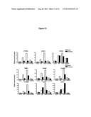 RECOMBINANT LACTOBACILLUS WITH DECREASED LIPOTEICHOIC ACID TO REDUCE     INFLAMMATORY RESPONSES diagram and image