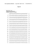 RECOMBINANT LACTOBACILLUS WITH DECREASED LIPOTEICHOIC ACID TO REDUCE     INFLAMMATORY RESPONSES diagram and image