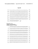 RECOMBINANT LACTOBACILLUS WITH DECREASED LIPOTEICHOIC ACID TO REDUCE     INFLAMMATORY RESPONSES diagram and image