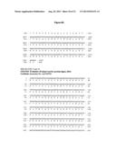 RECOMBINANT LACTOBACILLUS WITH DECREASED LIPOTEICHOIC ACID TO REDUCE     INFLAMMATORY RESPONSES diagram and image