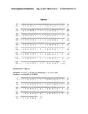 RECOMBINANT LACTOBACILLUS WITH DECREASED LIPOTEICHOIC ACID TO REDUCE     INFLAMMATORY RESPONSES diagram and image