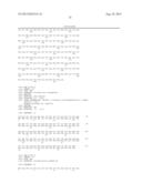 RECOMBINANT LACTOBACILLUS WITH DECREASED LIPOTEICHOIC ACID TO REDUCE     INFLAMMATORY RESPONSES diagram and image