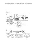 METHODS FOR ORGAN REGENERATION diagram and image