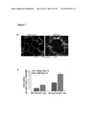 METHODS FOR ORGAN REGENERATION diagram and image