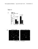 METHODS FOR ORGAN REGENERATION diagram and image