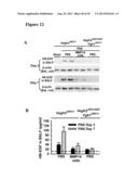 METHODS FOR ORGAN REGENERATION diagram and image