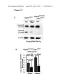 METHODS FOR ORGAN REGENERATION diagram and image