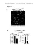 METHODS FOR ORGAN REGENERATION diagram and image