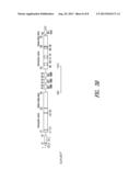 INNOVATIVE DISCOVERY OF THERAPEUTIC, DIAGNOSTIC, AND ANTIBODY COMPOSITIONS     RELATED TO PROTEIN FRAGMENTS OF GLUTAMYL-PROLYL-TRNA SYNTHETASES diagram and image