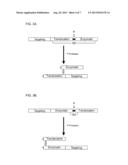 Methods of Treating Cancer Using Glucagon-Like Hormone Retargeted     Endopepidases diagram and image