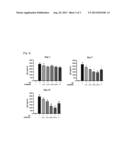 COMPOSITION FOR PREVENTING OR TREATING ATOPIC DERMATITIS INCLUDING     GALENICAL EXTRACT OR LACTOBACILLUS FERMENTATION THEREOF diagram and image