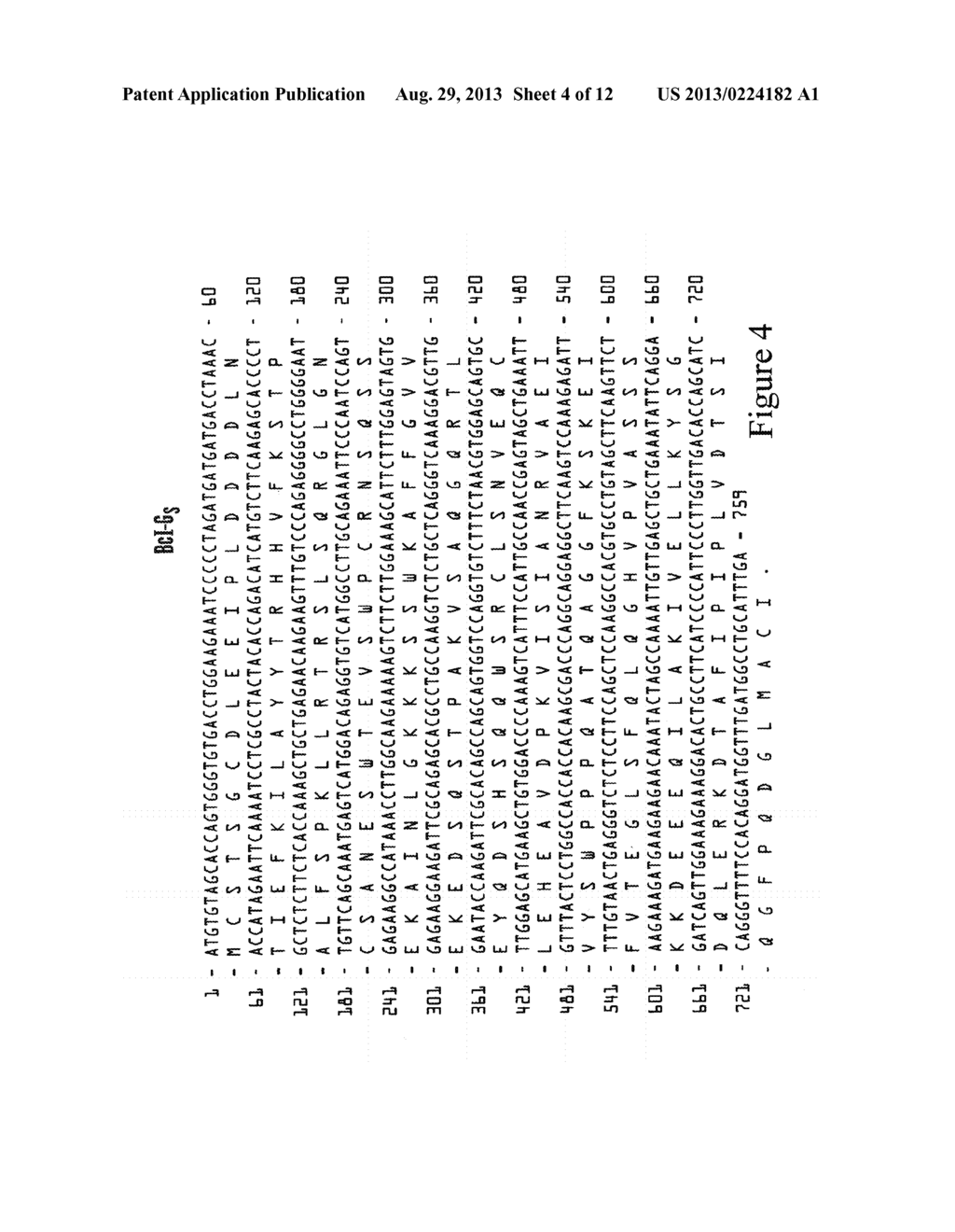 BCL-G POLYPEPTIDES, ENCODING NUCLEIC ACIDS AND METHODS OF USE - diagram, schematic, and image 05