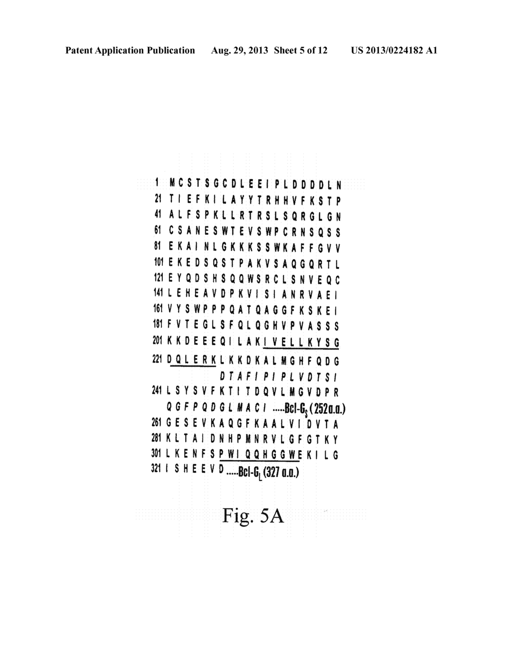 BCL-G POLYPEPTIDES, ENCODING NUCLEIC ACIDS AND METHODS OF USE - diagram, schematic, and image 06