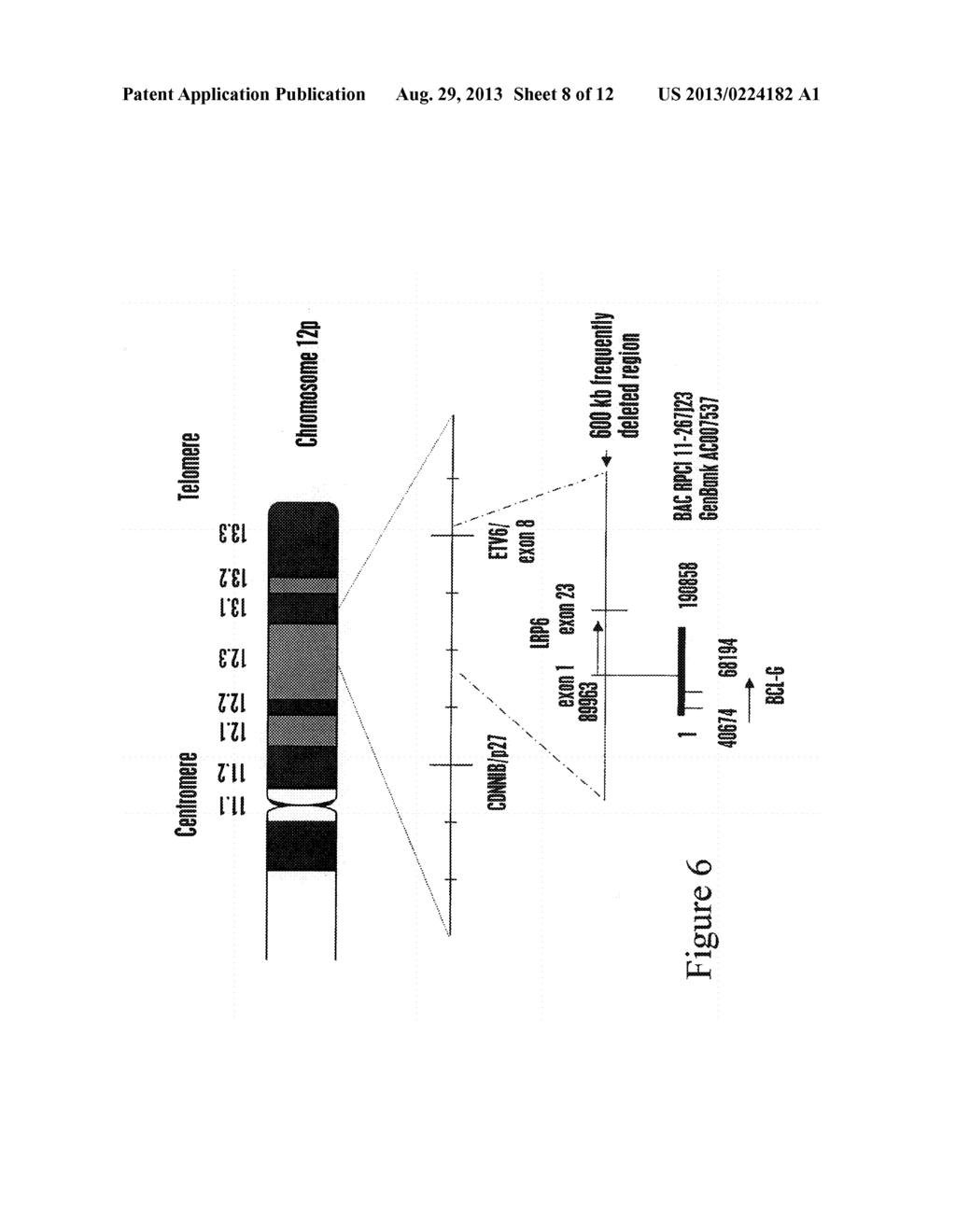 BCL-G POLYPEPTIDES, ENCODING NUCLEIC ACIDS AND METHODS OF USE - diagram, schematic, and image 09