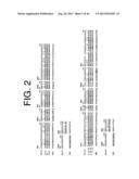 ANTIBODIES TO IL-6 AND USE THEREOF diagram and image