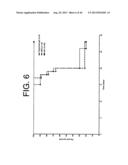 ANTIBODIES TO IL-6 AND USE THEREOF diagram and image