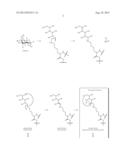 GLYCATED CD59 PEPTIDES, THEIR PREPARATION, AND USES THEREOF diagram and image