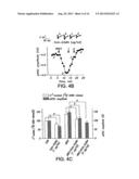 Compositions and Methods for Treating Neurological Disorders diagram and image