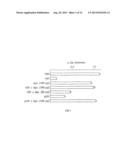 THERAPEUTIC USES OF GLANDULAR KALLIKREIN diagram and image