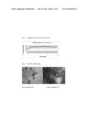 IMMUNOGENIC COMPOSITION diagram and image