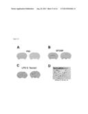 IMMUNOGENIC COMPOSITION diagram and image