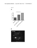 IMMUNOGENIC COMPOSITION diagram and image