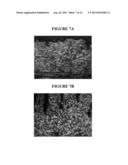 TOPICAL DELIVERY OF HORMONAL AND NON HORMONAL NANO FORMULATIONS, METHODS     OF MAKING AND USING THE SAME diagram and image