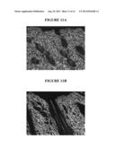 TOPICAL DELIVERY OF HORMONAL AND NON HORMONAL NANO FORMULATIONS, METHODS     OF MAKING AND USING THE SAME diagram and image