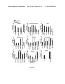 NOSCAPINE ANALOGS AND THEIR USE IN TREATING CANCERS diagram and image