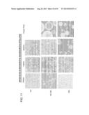 Stabilized Edible Emulsions, Acidification Methods of Preparation, and     Beverages diagram and image